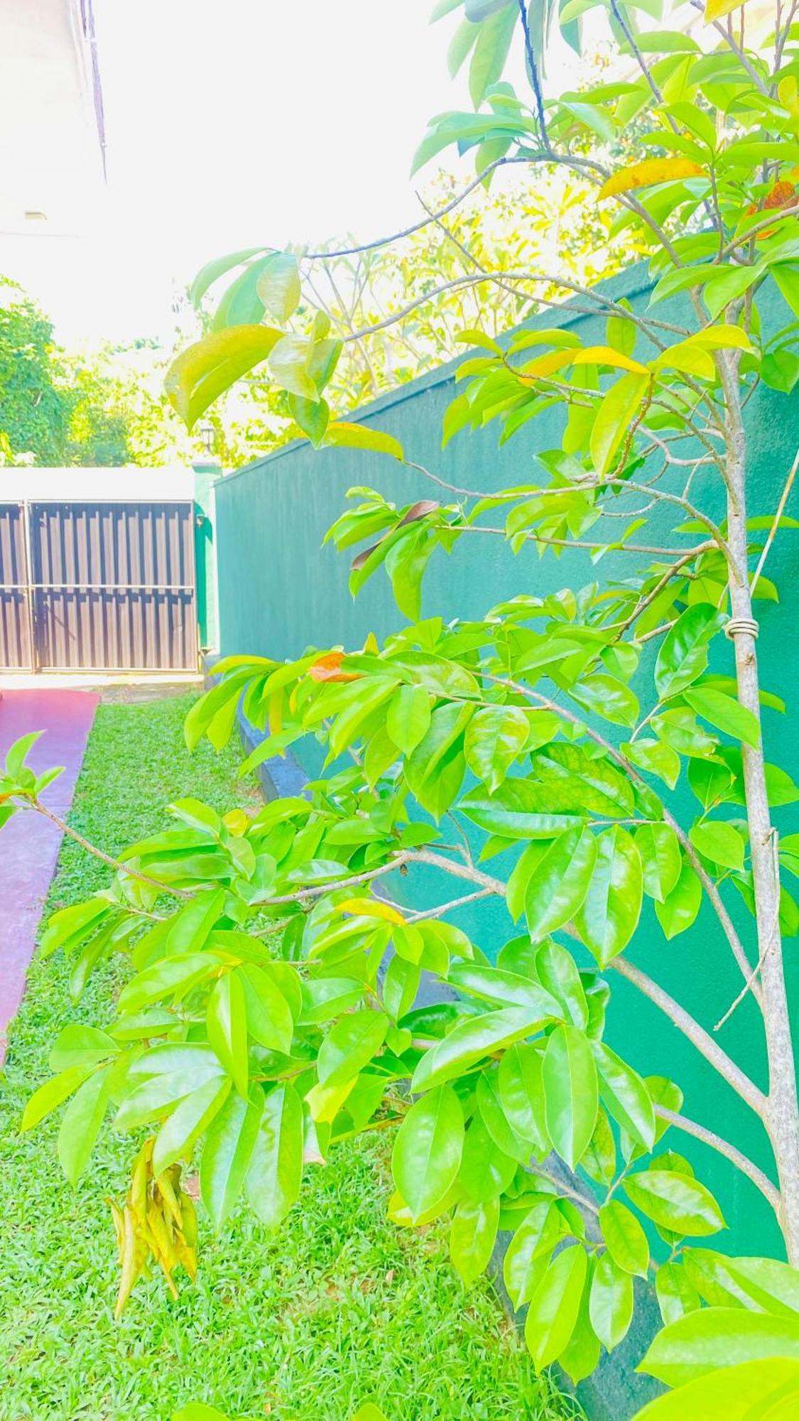Sanasuma Villa Бентота Экстерьер фото